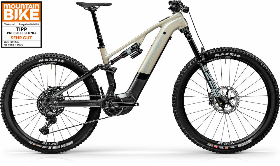 E-MTB Fully