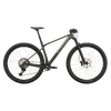 Scott Scale RC Expert - tungsten grey/carbon black - S